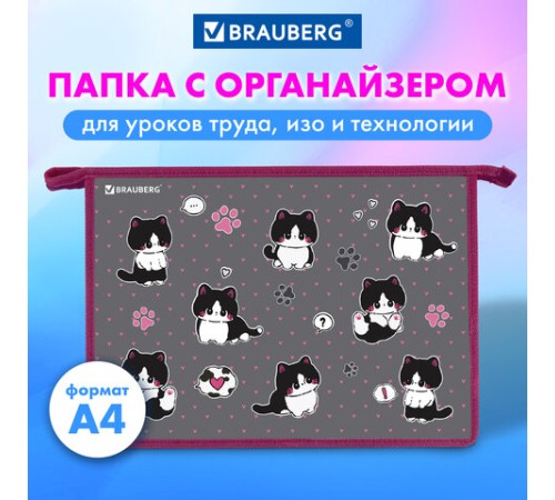 Папка для труда на молнии BRAUBERG А4, 2 отделения, органайзер, 