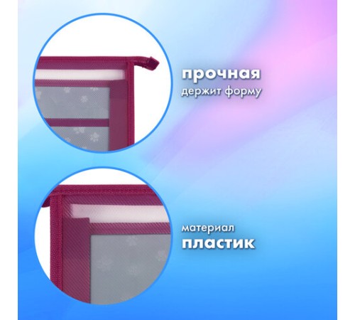 Папка для труда на молнии BRAUBERG А4, 2 отделения, органайзер, 