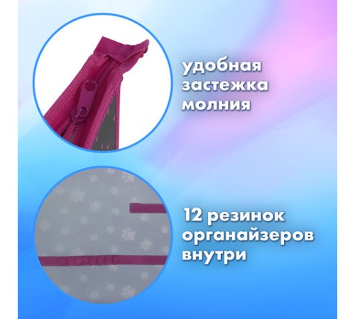 Папка для труда на молнии BRAUBERG А4, 2 отделения, органайзер, 