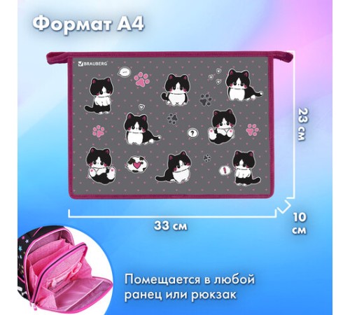 Папка для труда на молнии BRAUBERG А4, 2 отделения, органайзер, 