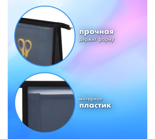 Папка для труда на молнии BRAUBERG А4, 2 отделения, органайзер, 