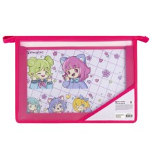 Папка для труда BRAUBERG А4, 2 отделения, пластик, молния сверху, органайзер, 