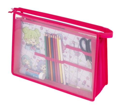 Папка для труда BRAUBERG А4, 2 отделения, пластик, молния сверху, органайзер, 