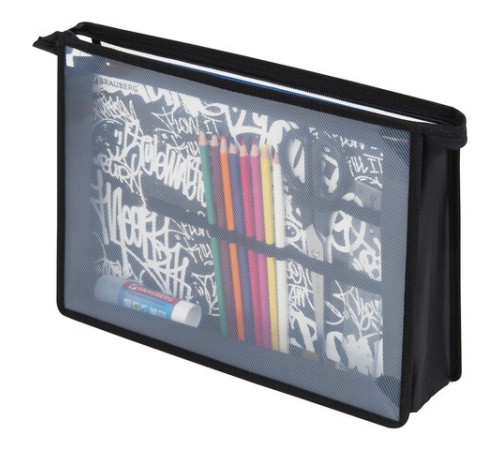 Папка для труда BRAUBERG А4, 2 отделения, пластик, молния сверху, органайзер, 