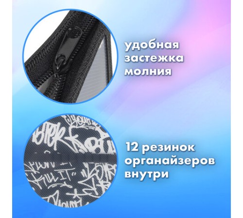 Папка для труда BRAUBERG А4, 2 отделения, пластик, молния сверху, органайзер, 