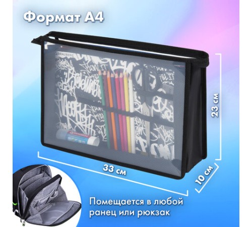 Папка для труда BRAUBERG А4, 2 отделения, пластик, молния сверху, органайзер, 