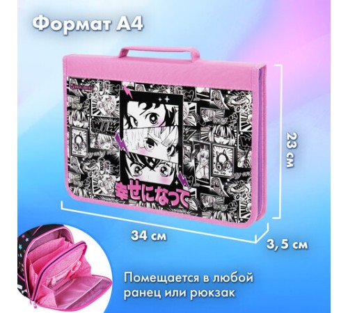 Папка на молнии BRAUBERG А4 с ручкой, с органайзером, 1 отделение, 