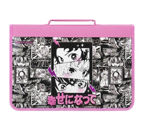 Папка на молнии BRAUBERG А4 с ручкой, с органайзером, 1 отделение, 