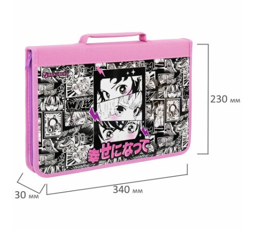 Папка на молнии BRAUBERG А4 с ручкой, с органайзером, 1 отделение, 