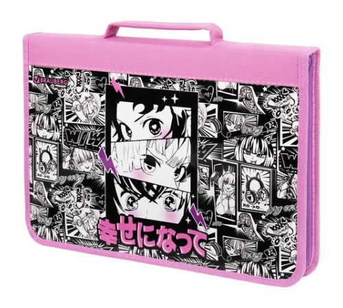 Папка на молнии BRAUBERG А4 с ручкой, с органайзером, 1 отделение, 