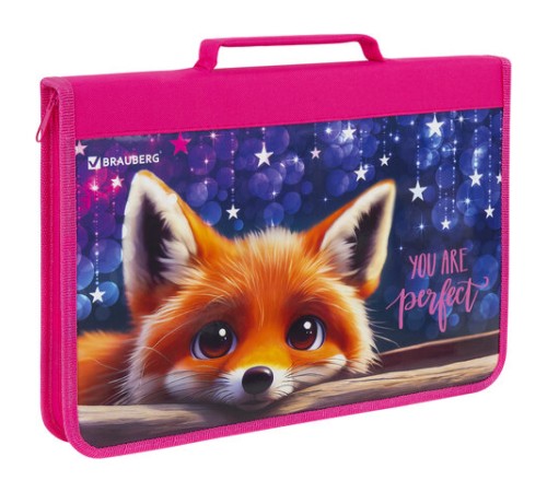 Папка на молнии BRAUBERG А4 с ручкой, с органайзером, 1 отделение, 