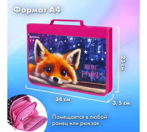 Папка на молнии BRAUBERG А4 с ручкой, с органайзером, 1 отделение, 