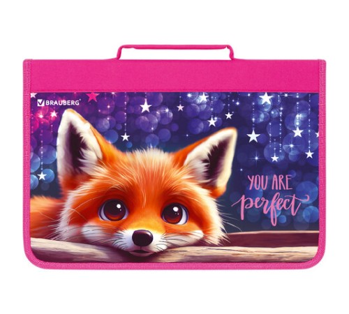 Папка на молнии BRAUBERG А4 с ручкой, с органайзером, 1 отделение, 