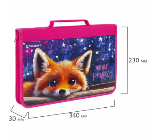 Папка на молнии BRAUBERG А4 с ручкой, с органайзером, 1 отделение, 