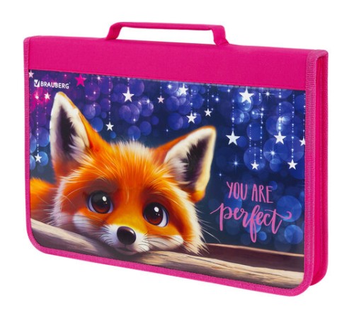 Папка на молнии BRAUBERG А4 с ручкой, с органайзером, 1 отделение, 