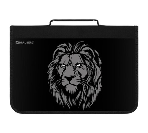 Папка на молнии BRAUBERG А4 с ручкой, с органайзером, 1 отделение, 