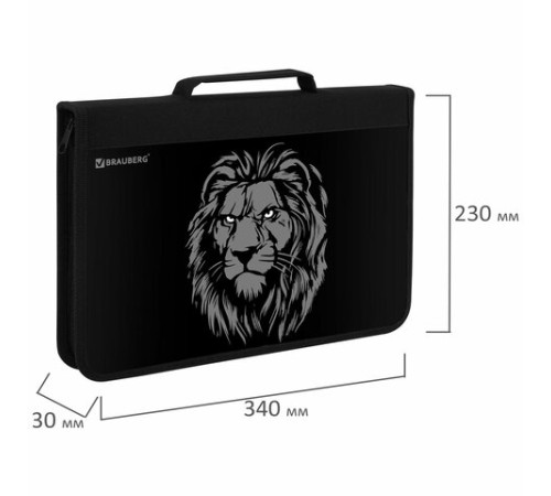 Папка на молнии BRAUBERG А4 с ручкой, с органайзером, 1 отделение, 