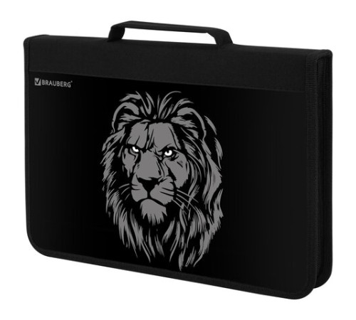 Папка на молнии BRAUBERG А4 с ручкой, с органайзером, 1 отделение, 