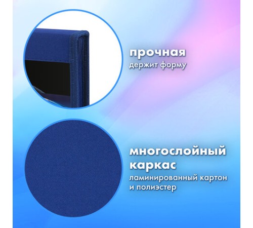 Папка на молнии BRAUBERG А4 с ручкой, с органайзером, 1 отделение, 