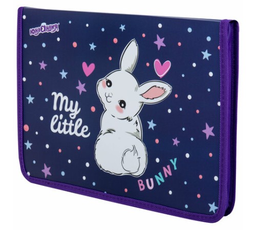 Папка для труда на молнии ЮНЛАНДИЯ А4, 1 отделение, откидная планка, органайзер, 