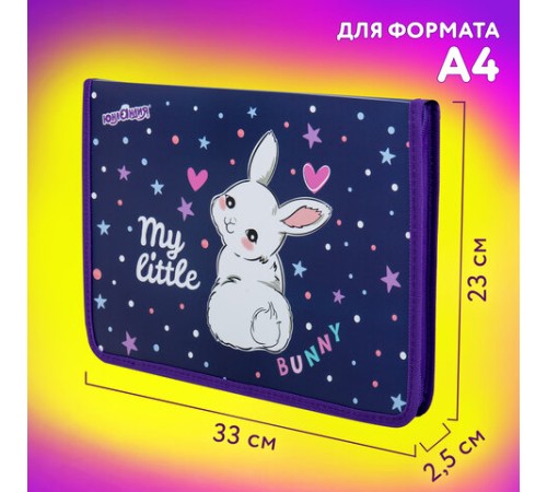 Папка для труда на молнии ЮНЛАНДИЯ А4, 1 отделение, откидная планка, органайзер, 