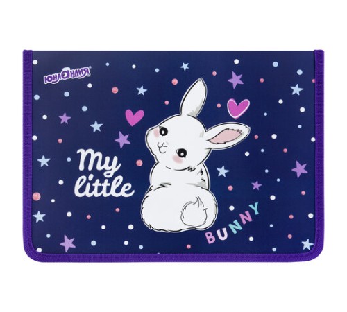 Папка для труда на молнии ЮНЛАНДИЯ А4, 1 отделение, откидная планка, органайзер, 