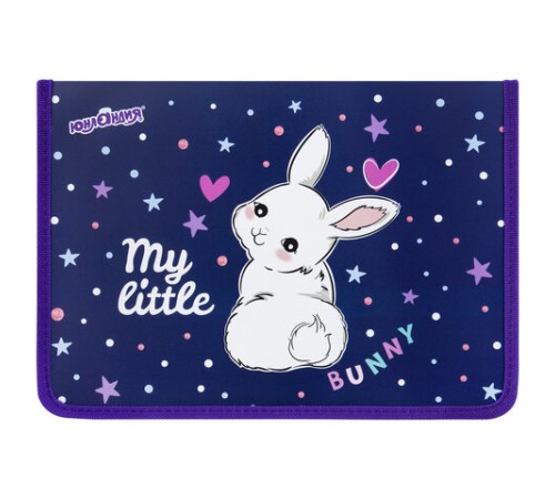 Папка для труда на молнии ЮНЛАНДИЯ А4, 1 отделение, откидная планка, органайзер, 