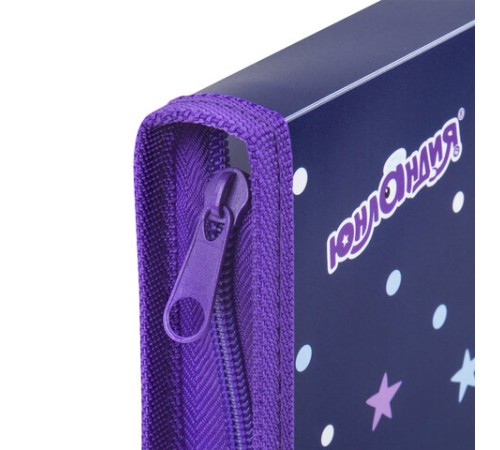 Папка для труда на молнии ЮНЛАНДИЯ А4, 1 отделение, откидная планка, органайзер, 