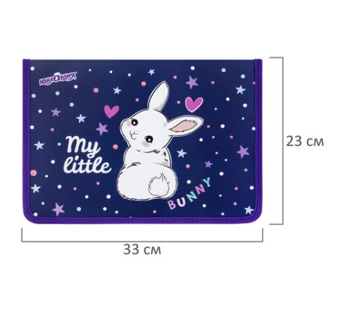 Папка для труда на молнии ЮНЛАНДИЯ А4, 1 отделение, откидная планка, органайзер, 