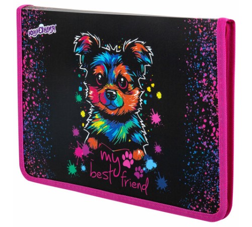 Папка для труда на молнии ЮНЛАНДИЯ А4, 1 отделение, откидная планка, органайзер, 