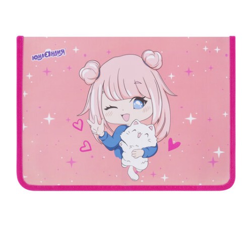 Папка для труда на молнии ЮНЛАНДИЯ А4, 1 отделение, откидная планка, органайзер, 