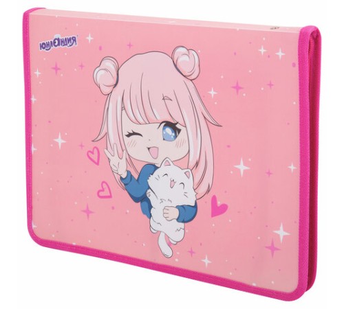 Папка для труда на молнии ЮНЛАНДИЯ А4, 1 отделение, откидная планка, органайзер, 