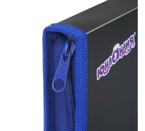 Папка для труда на молнии ЮНЛАНДИЯ А4, 1 отделение, откидная планка, органайзер, 