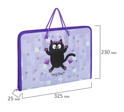 Папка для труда на молнии с ручками ПИФАГОР А4, 1 отделение, пластик, органайзер, 