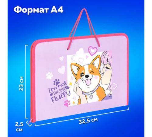 Папка для труда на молнии с ручками ПИФАГОР А4, 1 отделение, пластик, органайзер, 