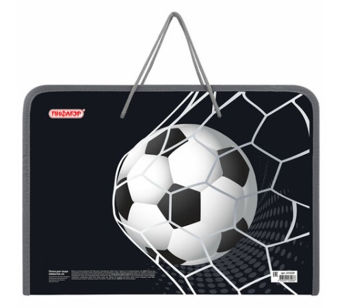 Папка для труда на молнии с ручками ПИФАГОР А4, 1 отделение, пластик, органайзер, 