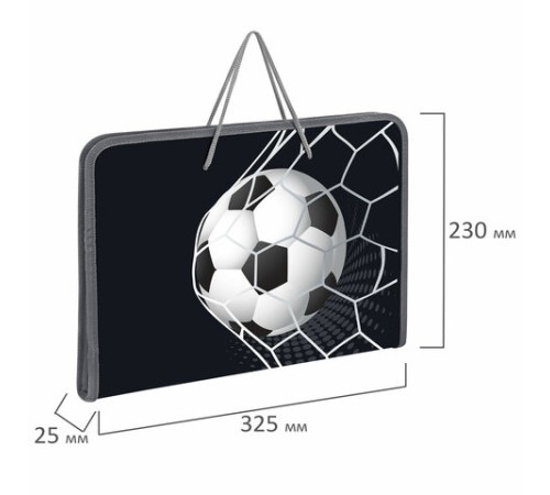 Папка для труда на молнии с ручками ПИФАГОР А4, 1 отделение, пластик, органайзер, 