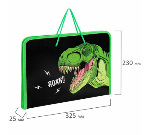 Папка для труда на молнии с ручками ПИФАГОР А4, 1 отделение, пластик, органайзер, 