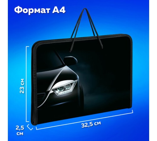 Папка для труда на молнии с ручками ПИФАГОР А4, 1 отделение, пластик, органайзер, 