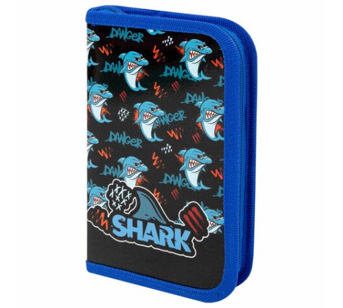 Пенал ПИФАГОР, 1 отделение, ламинированный картон, 19х11 см, 