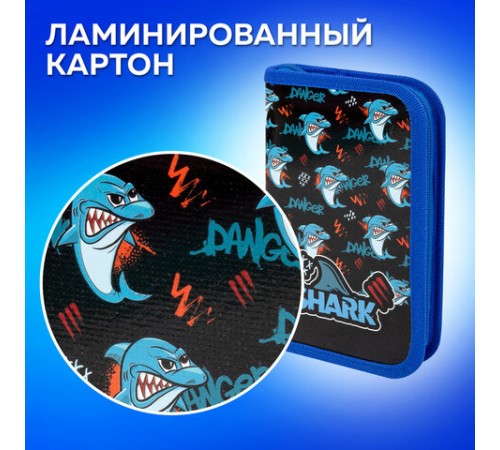 Пенал ПИФАГОР, 1 отделение, ламинированный картон, 19х11 см, 