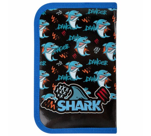 Пенал ПИФАГОР, 1 отделение, ламинированный картон, 19х11 см, 