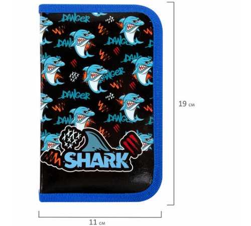 Пенал ПИФАГОР, 1 отделение, ламинированный картон, 19х11 см, 