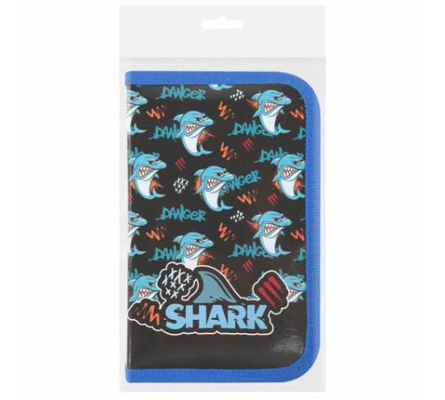 Пенал ПИФАГОР, 1 отделение, ламинированный картон, 19х11 см, 