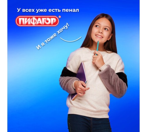 Пенал ПИФАГОР, 1 отделение, ламинированный картон, 19х9 см, 