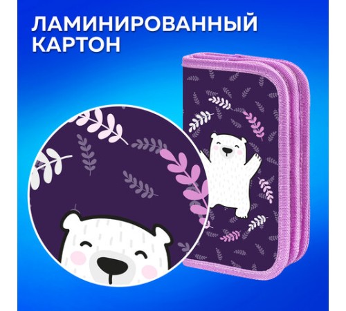 Пенал ПИФАГОР, 2 отделения, ламинированный картон, 19х11 см, 