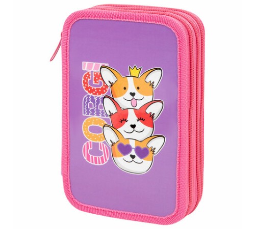 Пенал ПИФАГОР, 3 отделения, ламинированный картон, 19х11 см, 