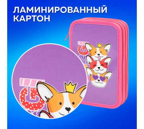 Пенал ПИФАГОР, 3 отделения, ламинированный картон, 19х11 см, 