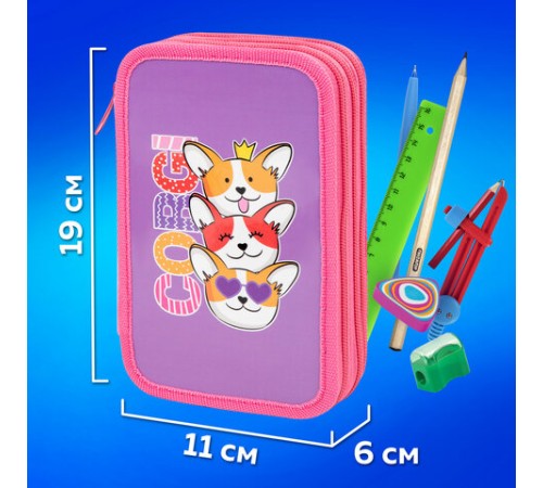 Пенал ПИФАГОР, 3 отделения, ламинированный картон, 19х11 см, 