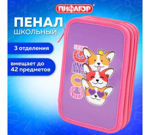 Пенал ПИФАГОР, 3 отделения, ламинированный картон, 19х11 см, 